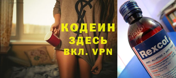 прущие грибы Краснотурьинск