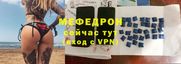 прущие грибы Краснотурьинск