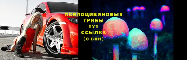 молекула духа Краснослободск