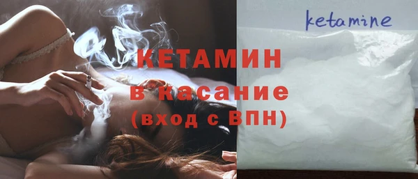 прущие грибы Краснотурьинск
