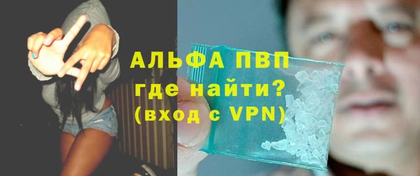 прущие грибы Краснотурьинск