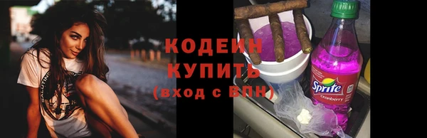 прущие грибы Краснотурьинск