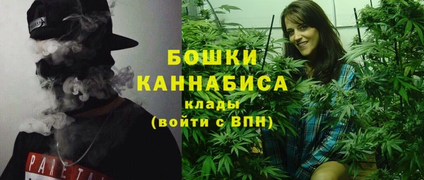 прущие грибы Краснотурьинск