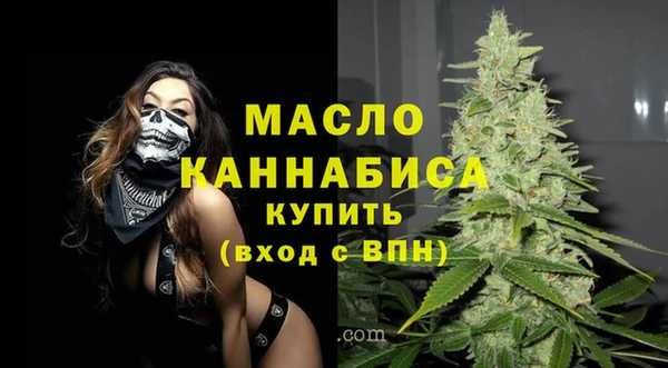 молекула духа Краснослободск