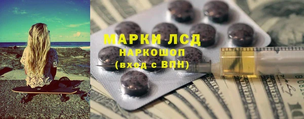 прущие грибы Краснотурьинск