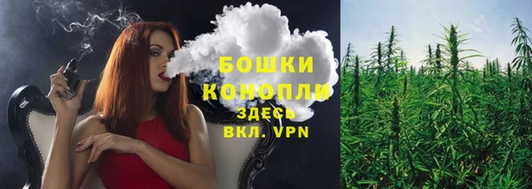 прущие грибы Краснотурьинск