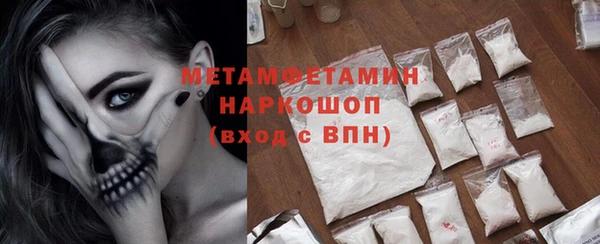 прущие грибы Краснотурьинск